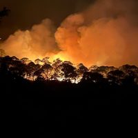 Incendios forestales en Canadá provocan evacuación y caos vial