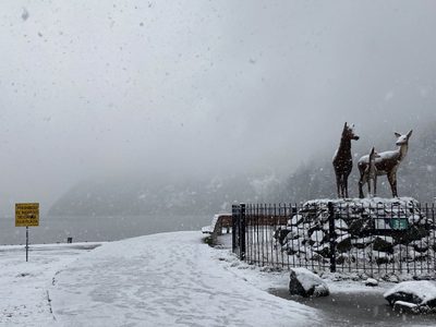 Por viento blanco cierran el tránsito para camiones en dos rutas principales de Neuquén