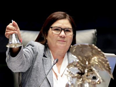 IEES sanciona a la senadora Imelda Castro por incurrir en promoción personalizada