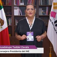 "México ha demostrado una vez más su compromiso con la democracia": INE