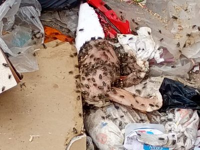 Vecinos de Villa Ceferino alertan por carne podrida acumulada en el contenedor que desborda el barrio