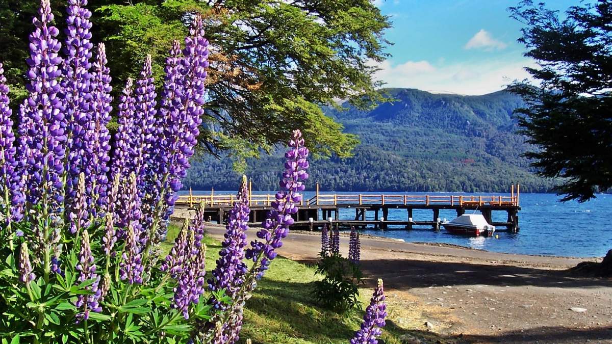 Villa Traful, Neuquén. Fuente: (Twitter)