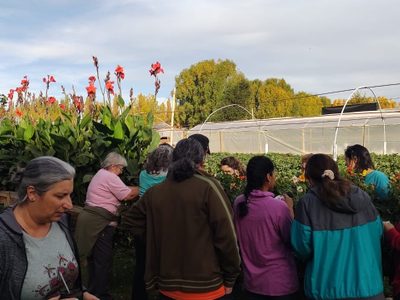Habrá intercambio de semillas en la Feria de China Muerta