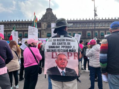 Fotogalería: La oposición y la marcha por la democracia