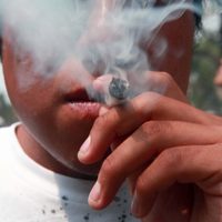 El Consejo de Nueva Derecha dice que Clara Brugada “construye una ciudad de mariguanos”