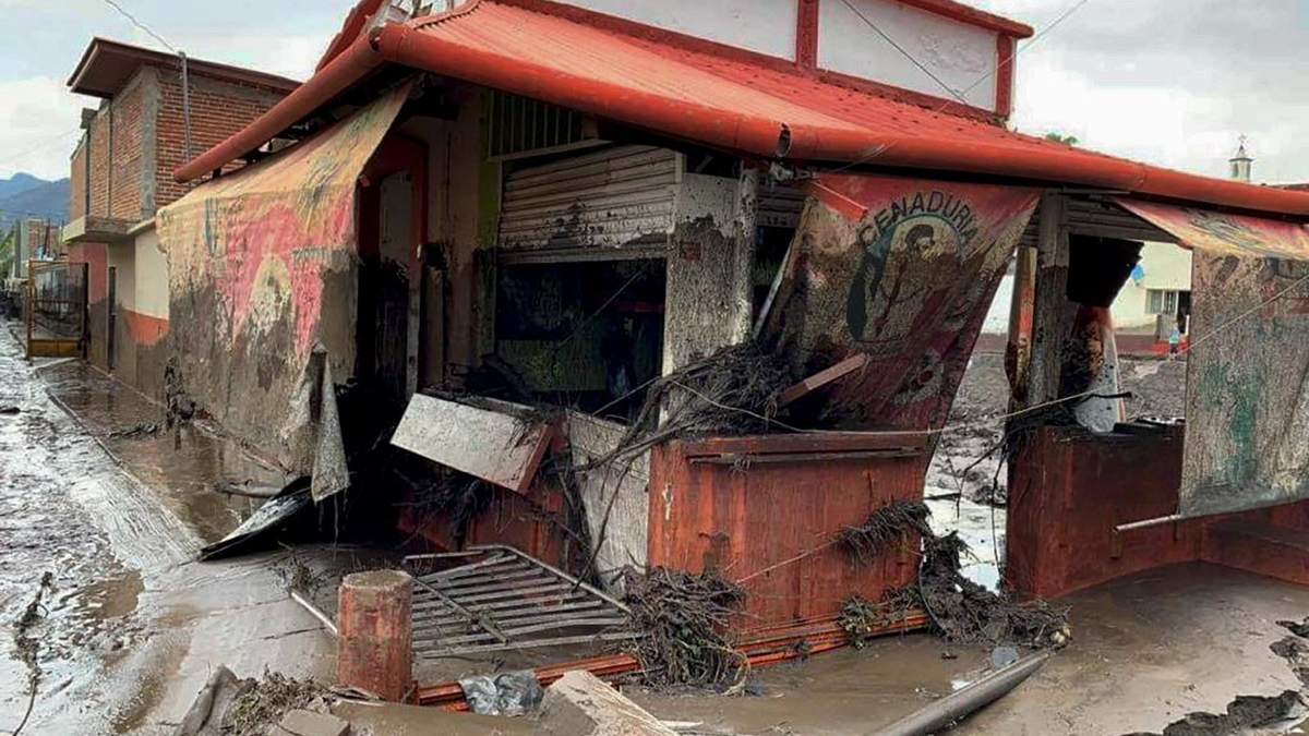Consecuencias de la deforestación