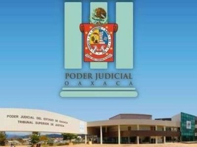 Demanda de amparo contra el gobierno federal por vulnerar derecho a la información ambiental