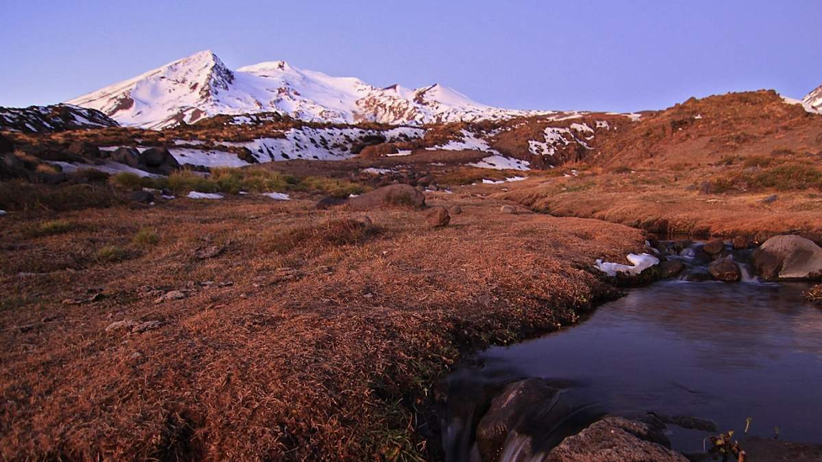 Volcán Nevados de Chillan Fuente: (Twitter)