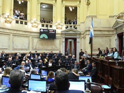 Blanco criticó el apoyo de los legisladores neuquinos al presupuesto nacional