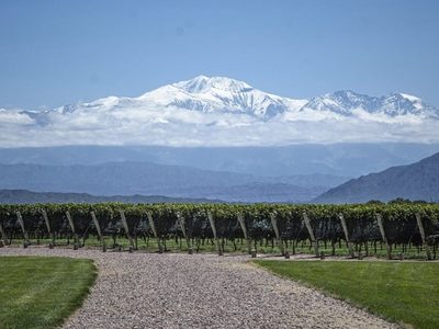Créditos para exportar vino: aspirinas para el cáncer