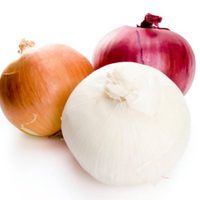 EU detecta brote de salmonelosis en 37 estados; lo atribuye a cebolla mexicana