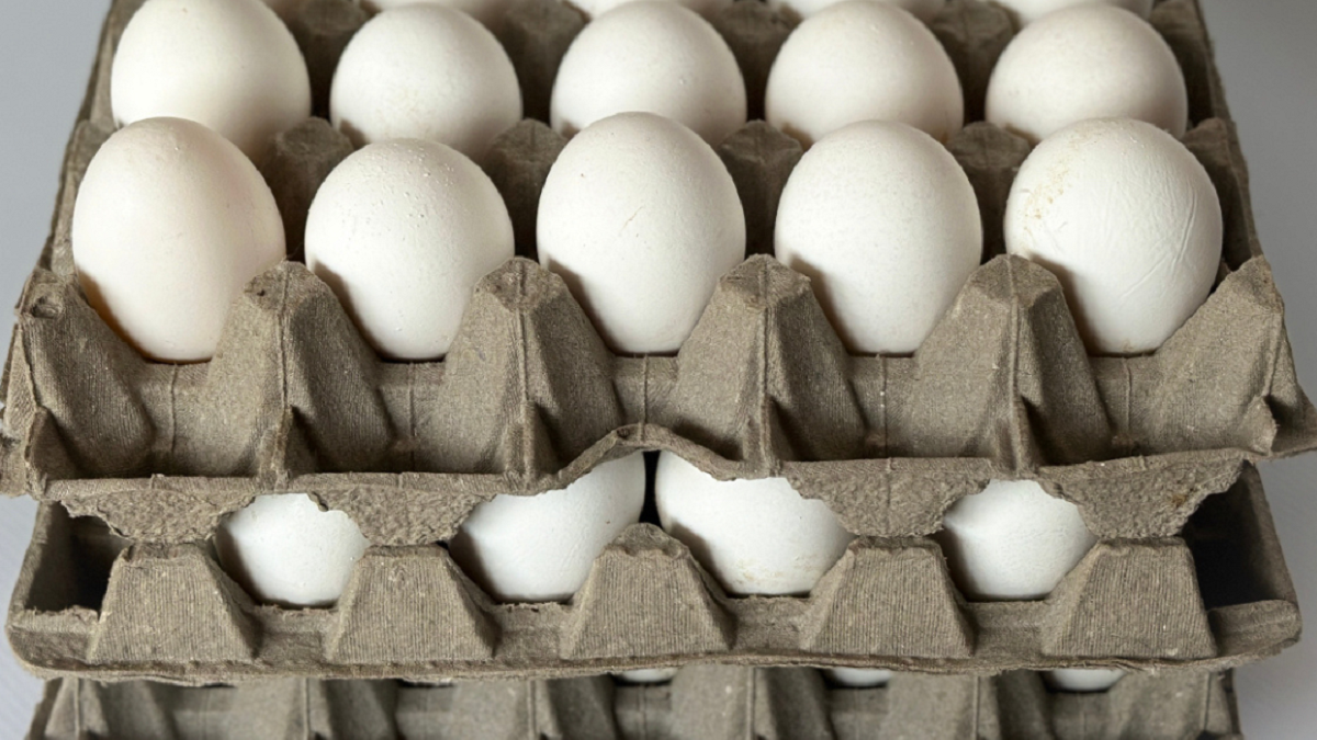 Cómo reciclar con maples de huevos. Fuente: (X)