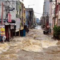 Impresionantes y repentinas lluvias torrenciales dejan al menos 30 fallecidos en India: videos