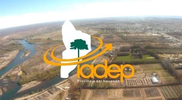 El Iadep aprobó los primeros créditos de la “Línea de Emergencia Sanitaria. Fuente: (Twitter)