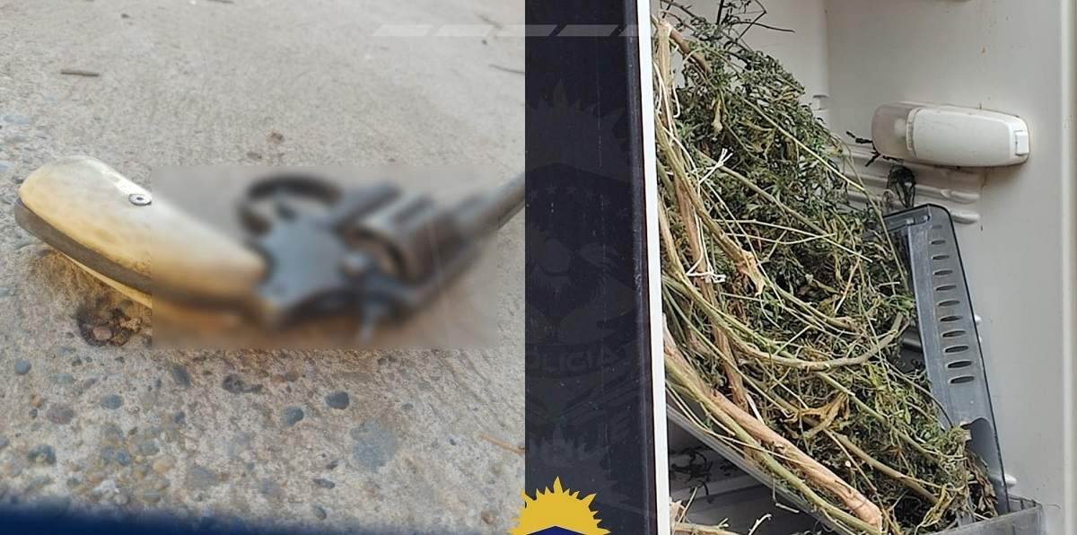 El revólver utilizado por el agresor, y una planta de marihuana en proceso de secado, lo secuestrado por la Policía. Fuente (Policía de Neuquén)