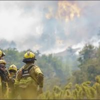 Se unieron 45 nuevos brigadistas al combate del fuego en Valle Magdalena