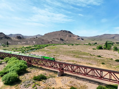 La estrategia que gana terreno para el tren a Vaca Muerta: vía directa y sin impacto en ciudades