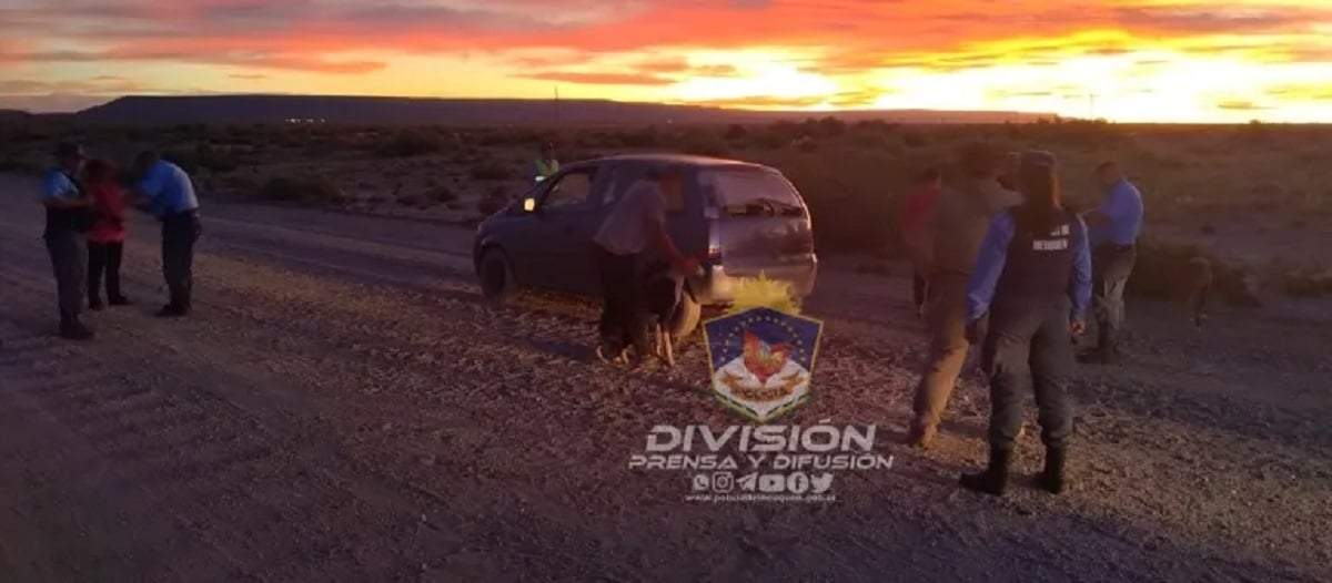 Tres demorados por llevar un choique faenado en un auto. Fuente: (Policía Neuquén)