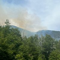 El incendio forestal en Lago Hermoso arrasó cuatro hectáreas