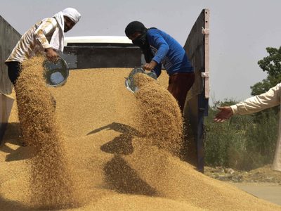 Por el alza mundial de los precios, India prohibió la exportación de trigo