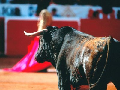 Aún en litigio, vuelven las corridas de toros a la Plaza México