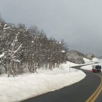 Advierten por el estado de algunas rutas de Neuquén