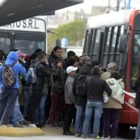 Dos empresas se adjudicaron el nuevo transporte público en Neuquén capital