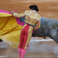 CDMX va por reforma a Ley de Protección Animal; no considera las corridas de toros