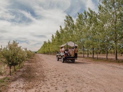 Una propuesta de paseo que combina naturaleza y gastronomía