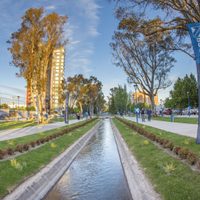 General Roca será sede del Primer Festival de la Sidra: conocé las principales actividades