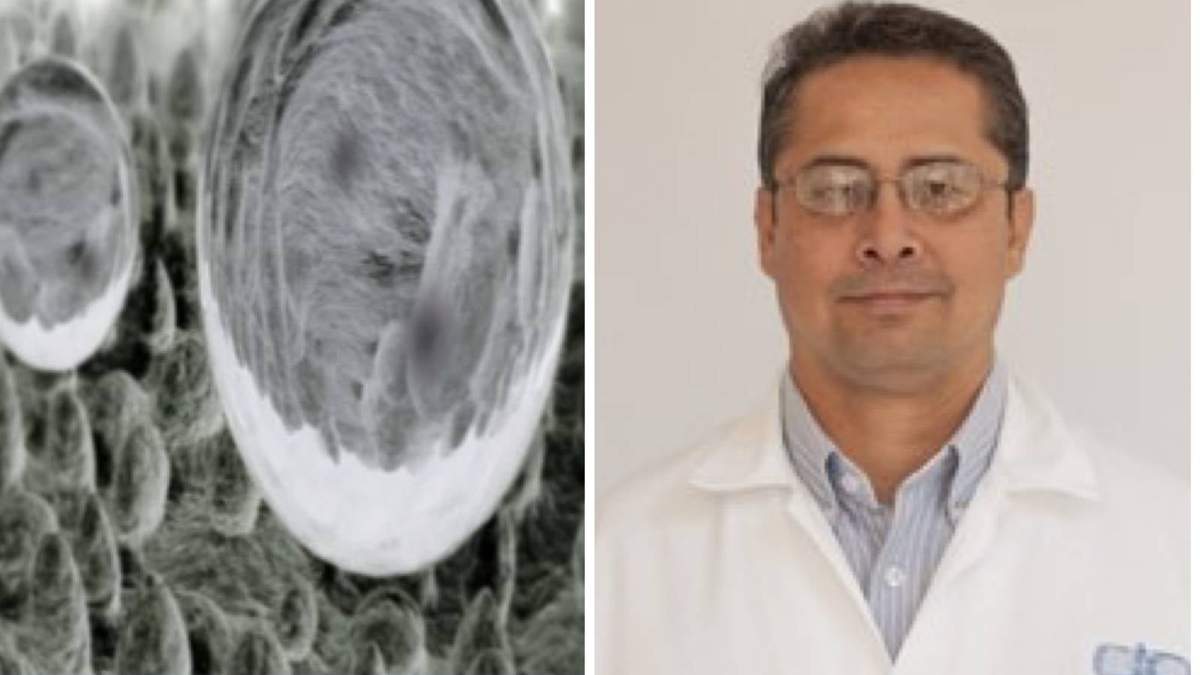 Carlos Alberto Ávila Orta, líder del proyecto que desarrolla los nanocompuestos para textiles antimicrobianos