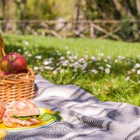 Llegó la primavera y también el tiempo de picnics