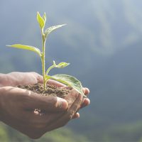 Neuquén firmó un acuerdo con PAE y Amigos de la Patagonia destinado al cuidado del medio ambiente