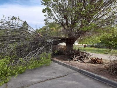 Gran operativo municipal en la provincia por la alerta de fuertes vientos