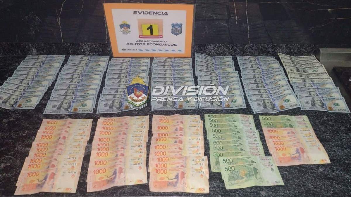 Dinero incautado en el domicilio de la familia gitana. Fuente: (Prensa Policía Neuquén)