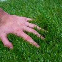 Si no tenés presupuesto para comprar panes de césped, esta es la forma para forrar tu jardín del pasto más verde