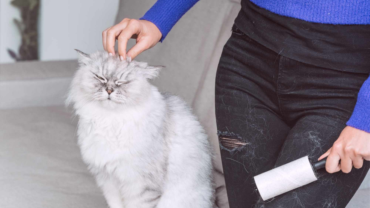 Pelos de mascota. Fuente: (Instagram)