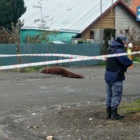 Salieron a la luz más detalles sobre el crimen de Héctor Matamala en Villa la Angostura
