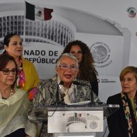 Senado avala ley que impide a deudores de pensión alimenticia tramitar pasaporte o credencial de INE