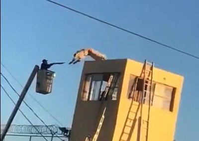 Un reo en Sonora se escapa, sube a la torre de vigilancia y se lanza al precipicio (video)
