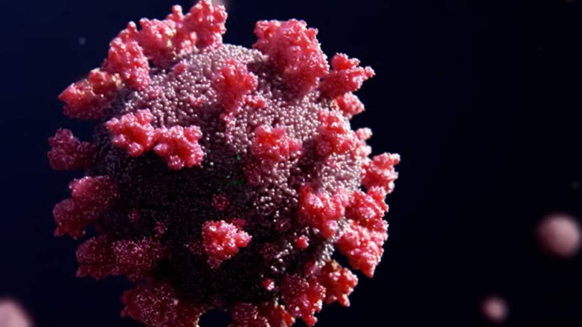 El coronavirus tiene una nueva variante: Omicron. Fuente: (Twitter)