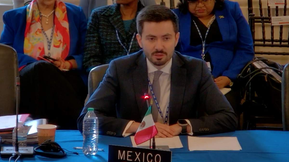 Efraín Guadarrama en la sesión de la OEA