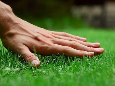 El truco que no todos los jardineros comparten para tener un césped más bonito y sano todo el otoño-invierno