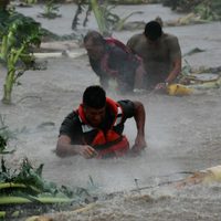 Plataneros de Jalisco lamentan golpes de la naturaleza y piden ayuda al gobierno