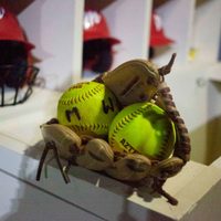 Así se jugarán los playoffs de la Liga Mexicana de Softbol