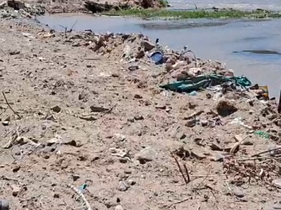 Rincón de los Sauces: vecinos acusan a empresa por contaminar y operar sin habilitación legal