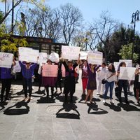 ONG y gobierno federal polemizan sobre entrega directa de apoyo a mujeres víctimas de violencia