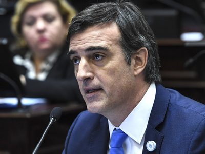 La "perlita" de Esteban Bullrich en el debate por la Reforma Judicial