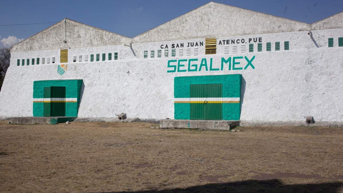Segalmex. Megacorrupción en la 4T