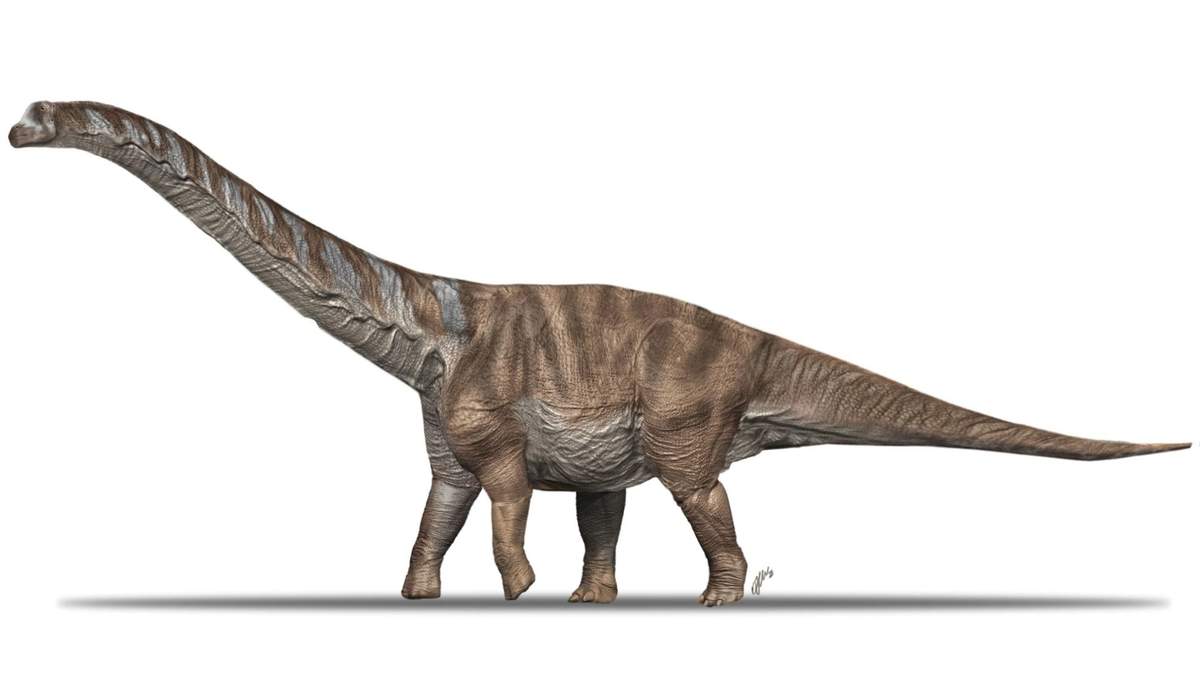 Dinosaurio. Fuente: (Museu de la Conca Dellá)